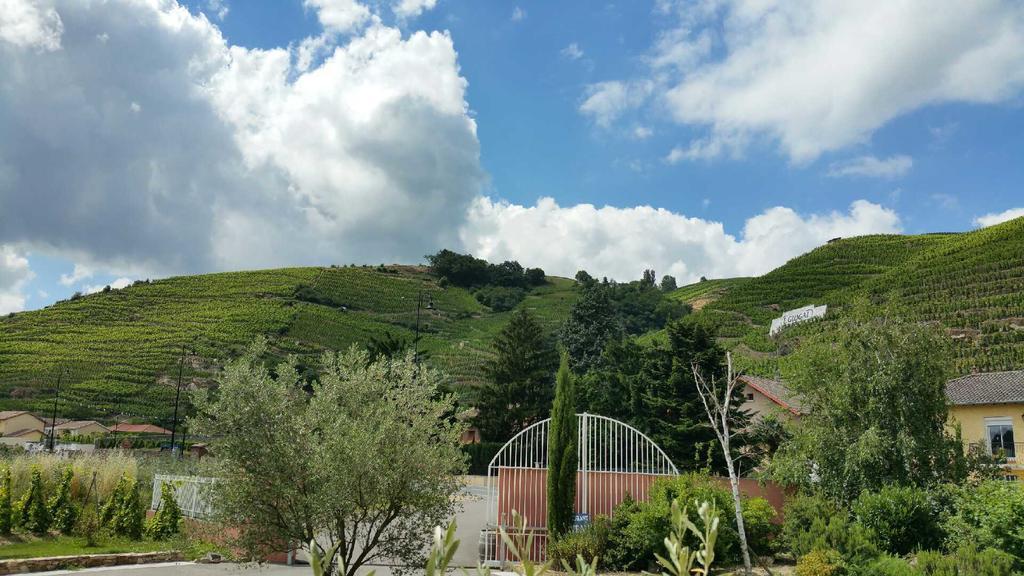 Hotel Le Domaine Des Vignes Ampuis Lyon Sud Vienne Luaran gambar