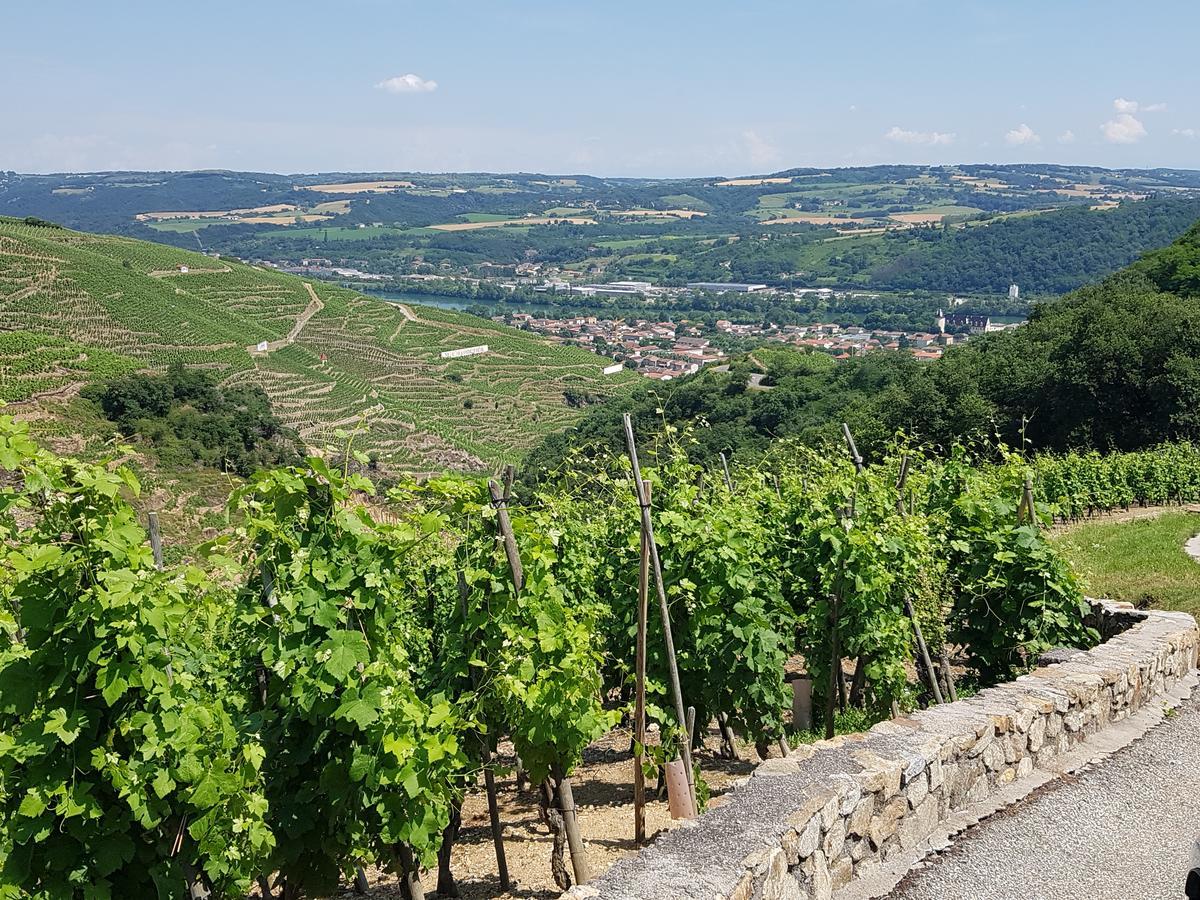 Hotel Le Domaine Des Vignes Ampuis Lyon Sud Vienne Luaran gambar