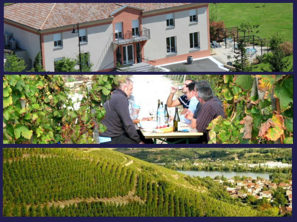 Hotel Le Domaine Des Vignes Ampuis Lyon Sud Vienne Luaran gambar