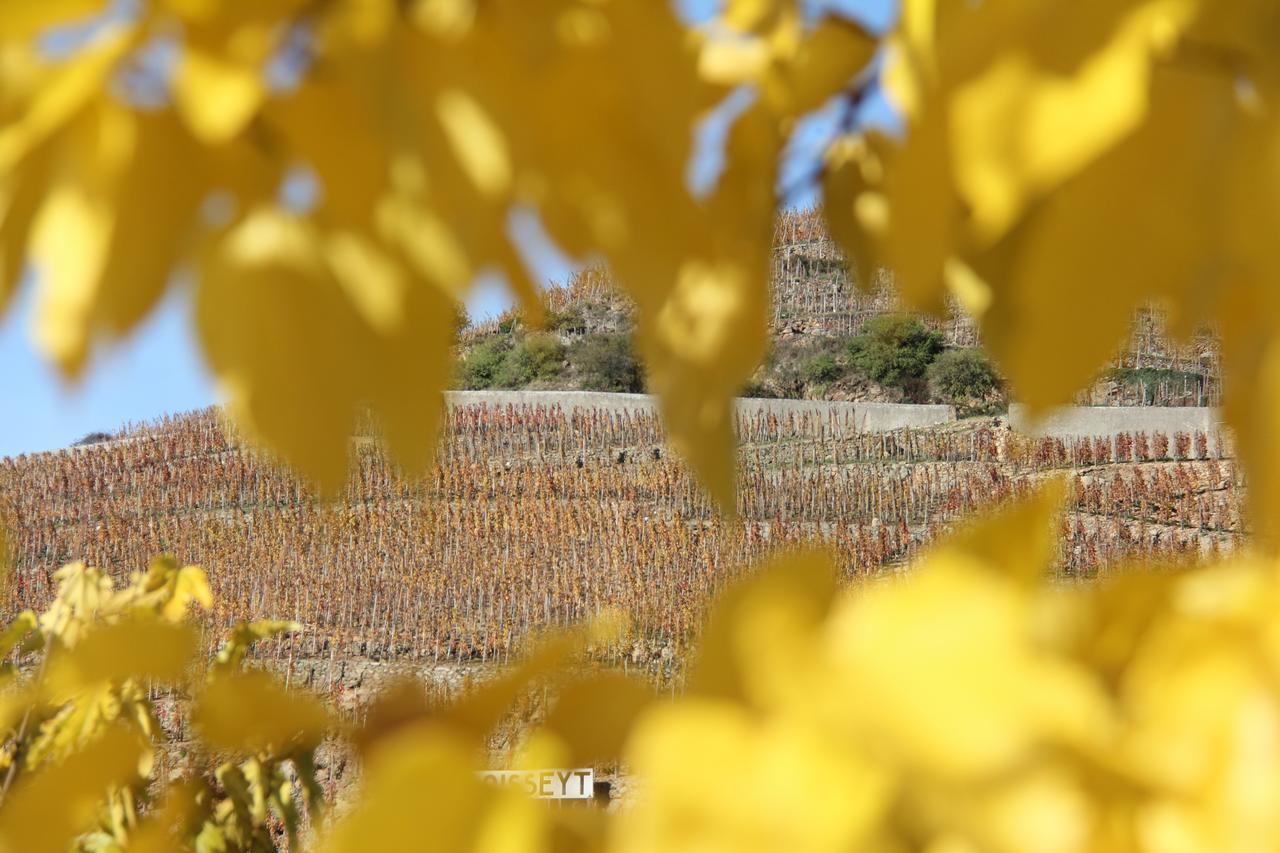 Hotel Le Domaine Des Vignes Ampuis Lyon Sud Vienne Luaran gambar